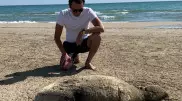 Убитого тюленя нашли на побережье Каспия