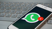 Опубликованы WhatsApp-номера глав отделов и управлений образования