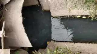 Жители одного из районов Алматы сливают нечистоты в арыки - эколог