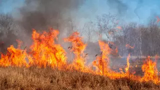 Запах гари в Астрахани объяснили пожарами в Казахстане