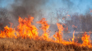 Запах гари в Астрахани объяснили пожарами в Казахстане
