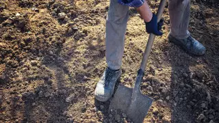 Расчленил и закопал. Жестокое убийство раскрыли в Акмолинской области