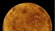 Признаки жизни нашли на Венере