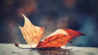 В Нур-Султане и 9 областях объявили штормовое предупреждение