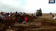 Жителям Актобе помешали набрать бесплатной моркови
