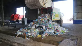 Оператор РОП планирует упростить условия выдачи субсидий для перерабатывающей отрасли