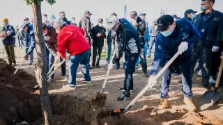 Кульгинов рассказал о планах по озеленению Нур-Султана