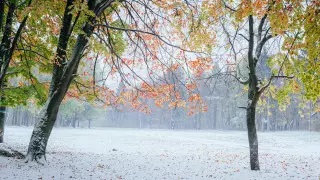 Первый снег прогнозируют в Казахстане