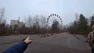 В Чернобыльской зоне впервые за 100 лет заметили медведей