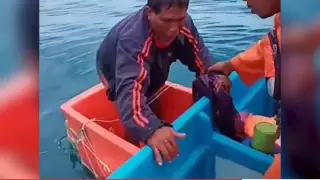 Мужчина 3 дня дрейфовал в океане в ящике для рыбы