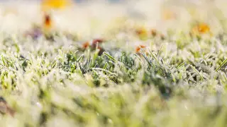 В 7 областях ожидают шторм из-за ветра и заморозков