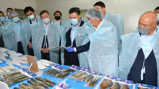 Мамин дал ряд поручений по развитию рыбной отрасли страны