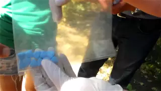 МВД предупредило о чрезвычайной опасности новых наркотиков