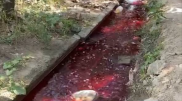 Слили кровь в реку: алматинцы требуют наказать нарушителей