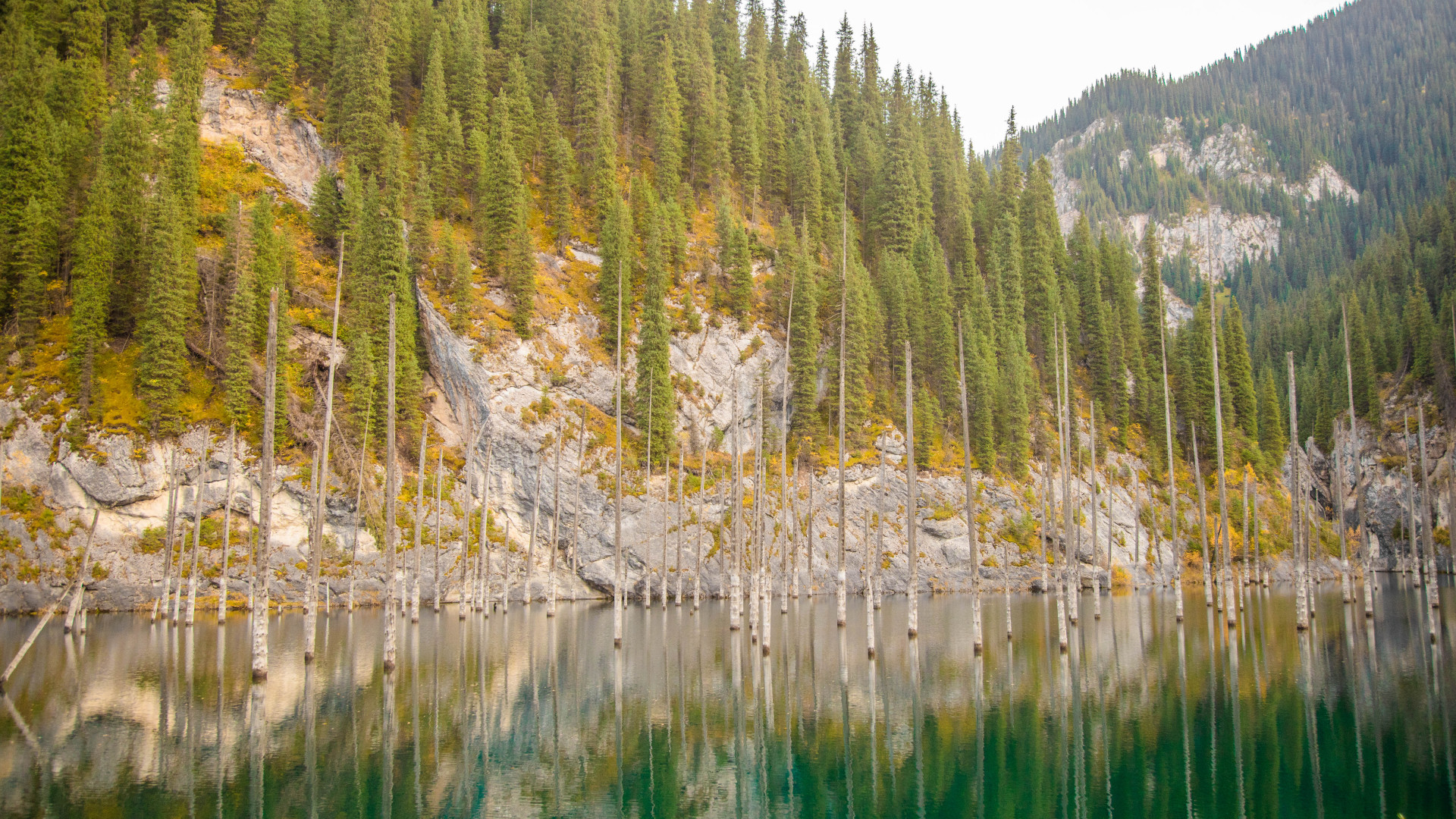 Озеро Кольсай фото девушка