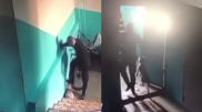 Мужчина придавил ногой и нес за шкирку собаку в Нур-Султане