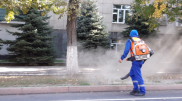 Алматинцы пожаловались на листодувы