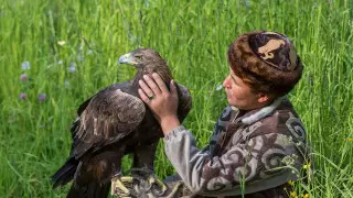 Ханская охота: как в Казахстане приручают ловчих птиц