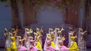 "Астана Балет" дал три благотворительных концерта для столичных врачей