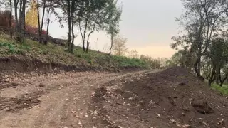 "На Кок-Жайляу строится дорога": в Минэкологии прокомментировали видео