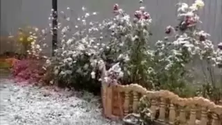 Первый снег: казахстанцы делятся видео в соцсетях