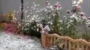 Первый снег: казахстанцы делятся видео в соцсетях