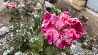 Первый снег выпал в Нур-Султане