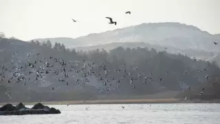 Ученые обнаружили планеты с условиями для жизни лучше, чем на Земле