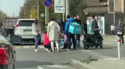 Подросток попал под колеса мопеда в Алматы