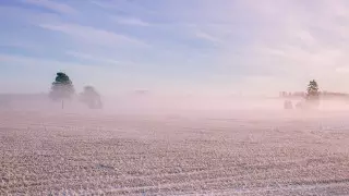 Заморозки до 2 градусов ожидаются на юге Казахстана