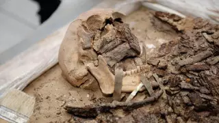 Останки "железного человека" нашли в Атырауской области