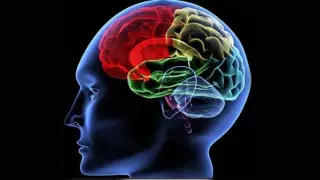 Медики подтвердили способность коронавируса проникать в мозг