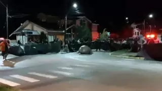 Морской слон переполошил жителей города