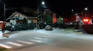 Морской слон переполошил жителей города