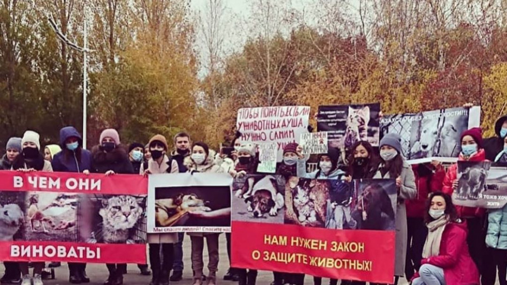 Зоозащитники вышли на митинг в Нур-Султане