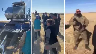Автомат против комбайна: появились подробности конфликта в Кызылординской области