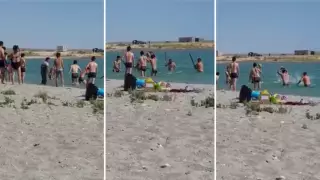 Избиение тюленя палками в Актау: героев видео не накажут