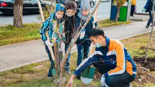 У жителей столицы появились свои фамильные деревья