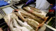 Коронавирус впервые обнаружили на упаковке замороженных продуктов