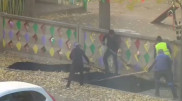Укладку асфальта на листву объяснили в Павлодаре