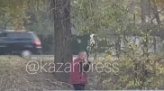 Мужчину с пистолетом сняли на видео в Алматы