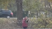 Личность попавшего на видео "мужчины с пистолетом" из Алматы установлена