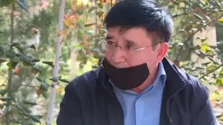 Экс-акима подозревают в захвате 150 гектаров земли в Туркестанской области - СМИ