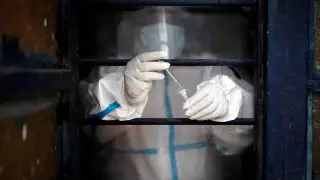 Ранее неизвестный штамм коронавируса обнаружили в Норвегии