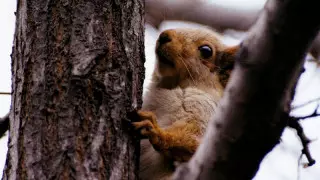 На фотоконкурсе "Мой Казахстан" продлено онлайн-голосование