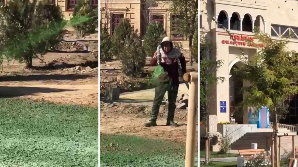 Видео "покраски земли под газон" объяснили в акимате Туркестана