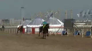 Скакуна  загнали насмерть на турнире в Нур-Султане