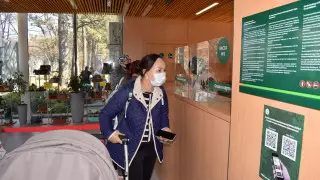 Билеты в Ботанический сад Алматы можно будет купить онлайн