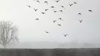 Снег и гололед: погода в Казахстане 22 октября