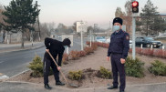 Сломал и выбросил. Похититель саженцев объяснил свой поступок в Алматинской области